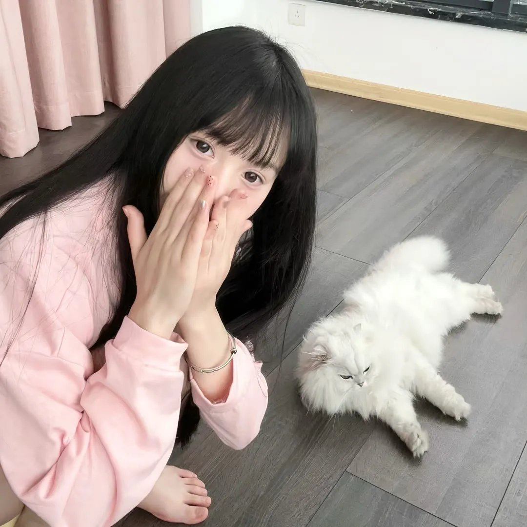 当狗爱上猫粤语